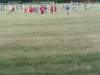 Photo Number 55