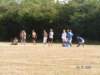 Photo Number 8