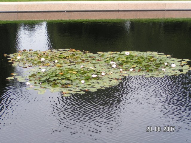 pict2778.jpg