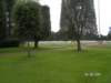 pict2780_small.jpg