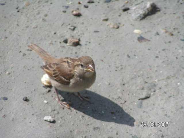 pict2868.jpg