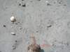 pict2869_small.jpg