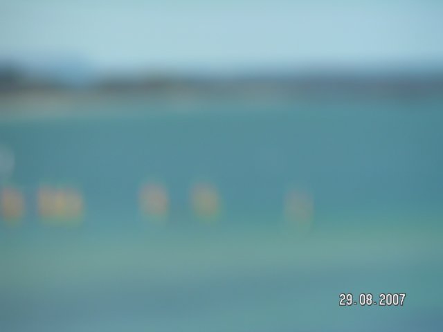 pict2909.jpg