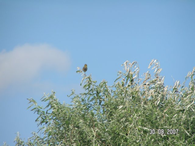 pict2944.jpg