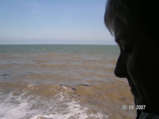 pict2946.jpg