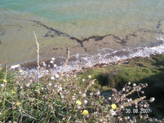 pict2963.jpg