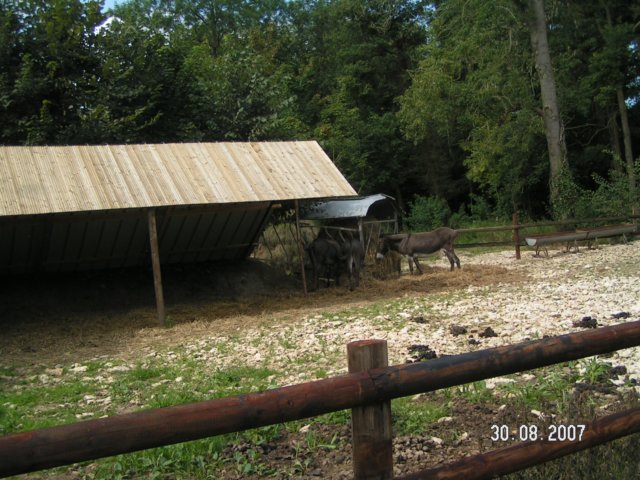 pict2974.jpg