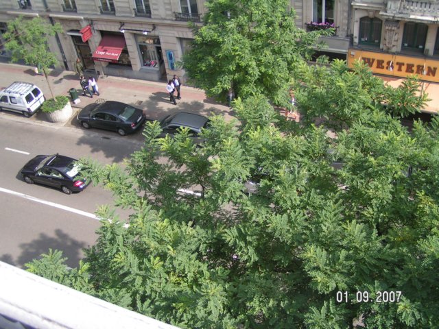 pict3063.jpg
