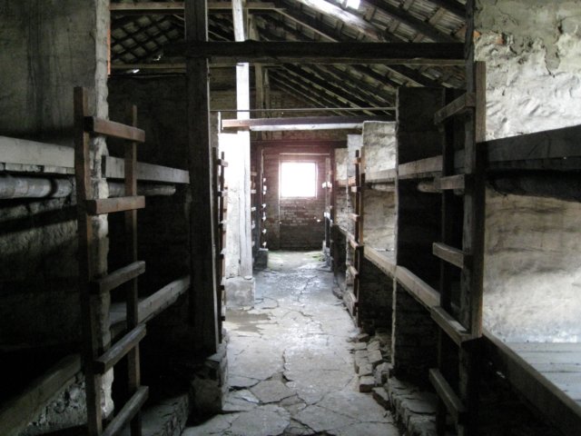 img_0880.jpg