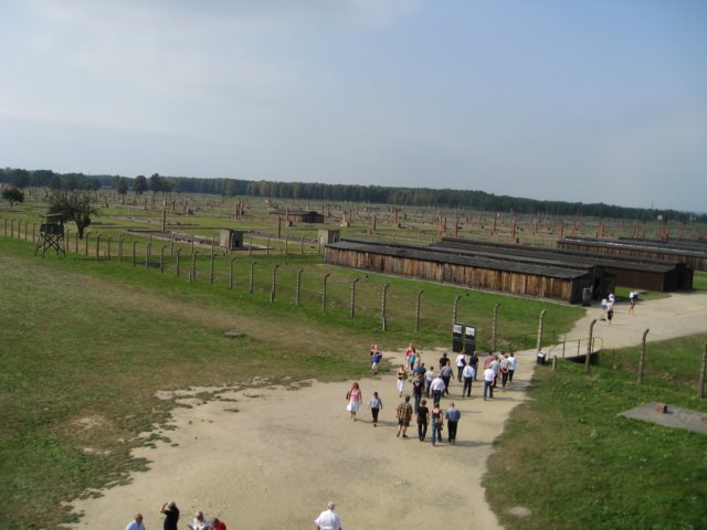 img_0895.jpg