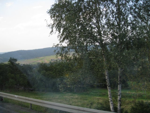 img_0904.jpg