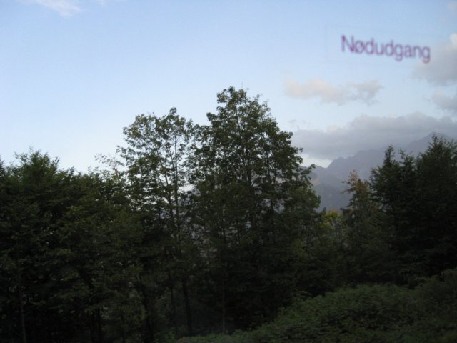 img_0905.jpg