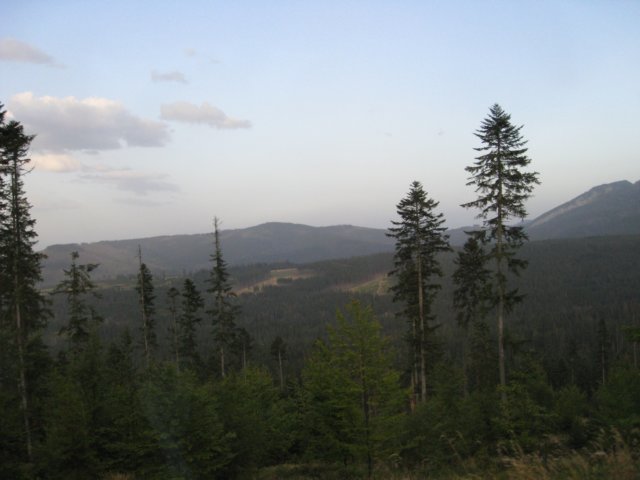 img_0907.jpg