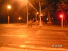 pict3956_small.jpg