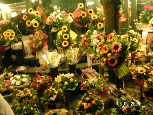 pict3997.jpg