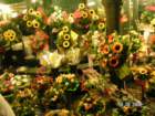 pict3997_small.jpg