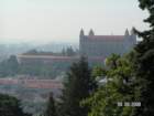 pict4091_small.jpg