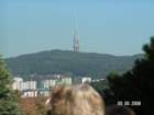 pict4098_small.jpg
