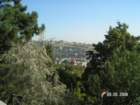 pict4099_small.jpg