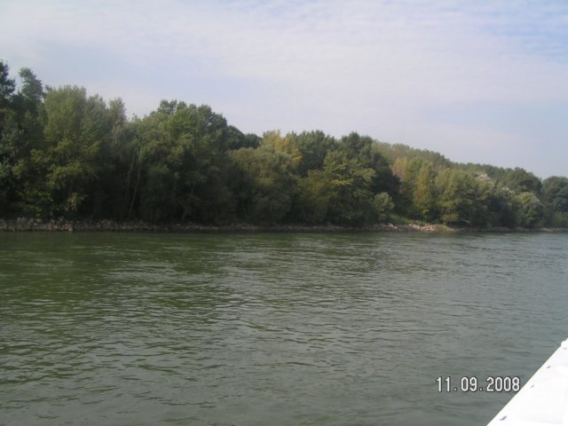 pict4386.jpg