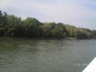 pict4386_small.jpg