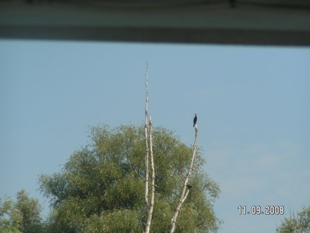 pict4395.jpg
