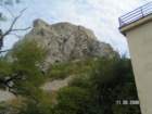 pict4431_small.jpg