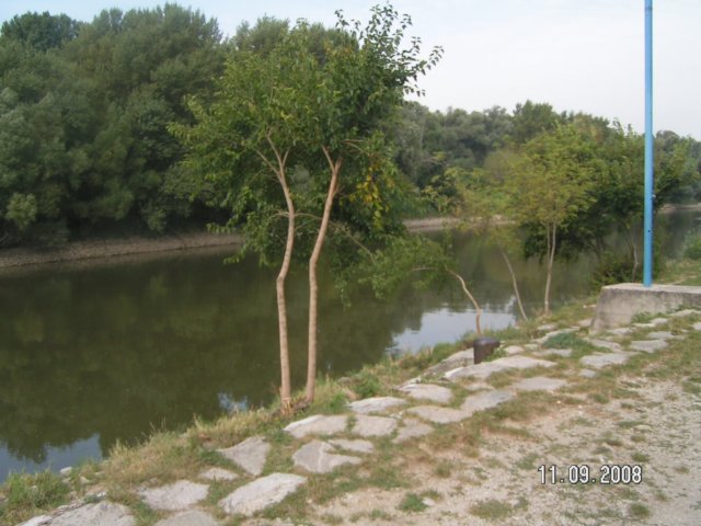pict4437.jpg