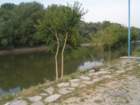 pict4437_small.jpg