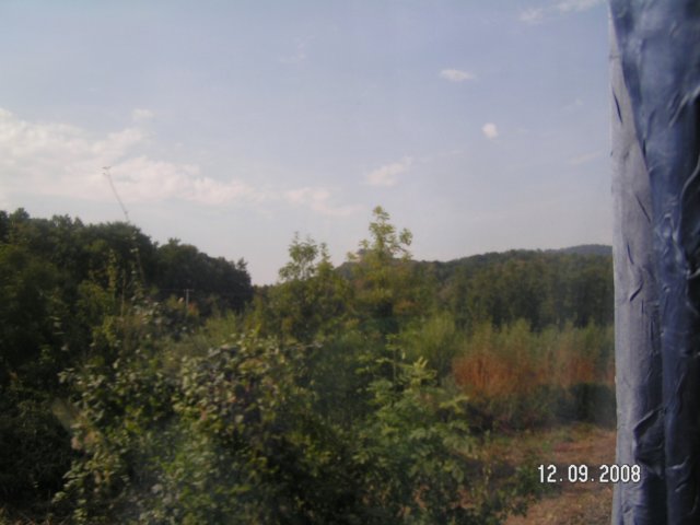 pict4459.jpg