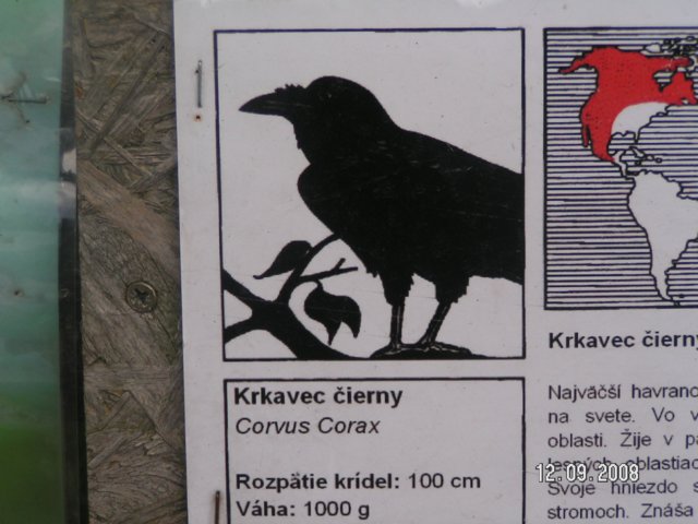 pict4474.jpg