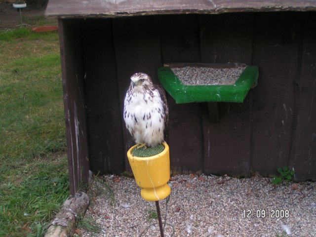 pict4477.jpg