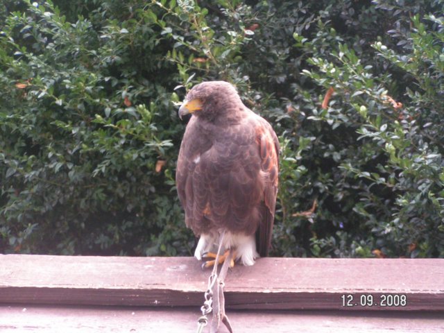 pict4485.jpg