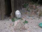 pict4488_small.jpg