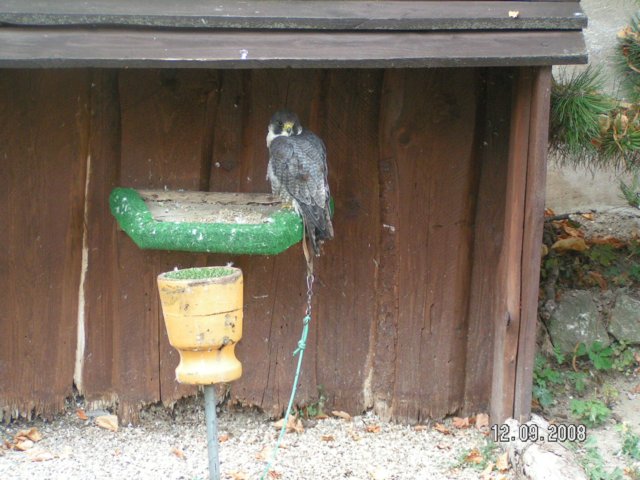 pict4489.jpg