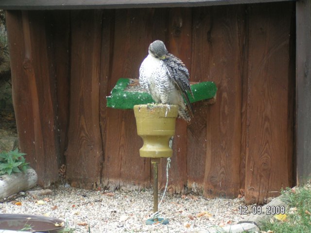 pict4493.jpg