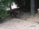 pict4496_small.jpg