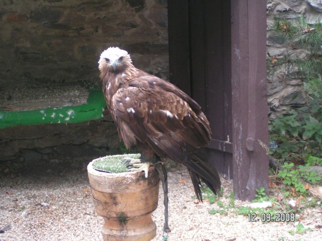 pict4497.jpg