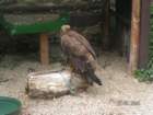 pict4499_small.jpg