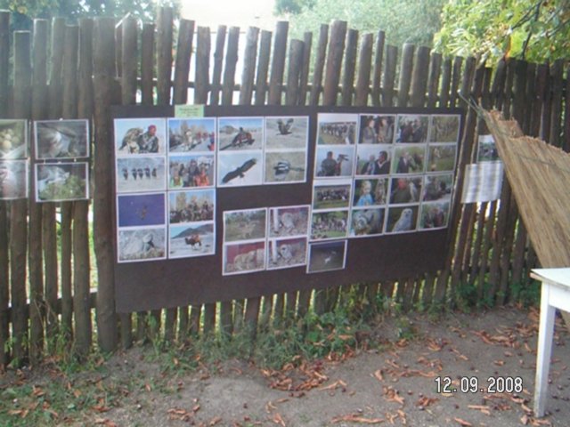 pict4520.jpg