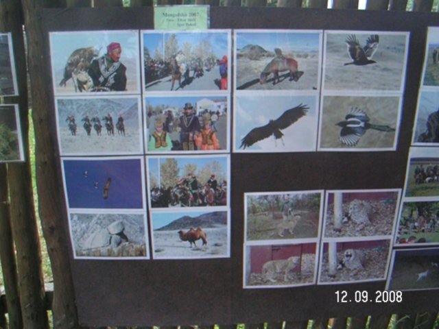 pict4522.jpg