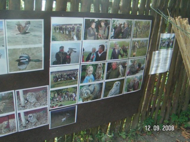 pict4523.jpg