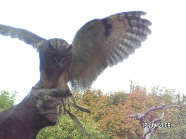 pict4545.jpg