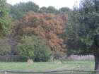 pict4554_small.jpg