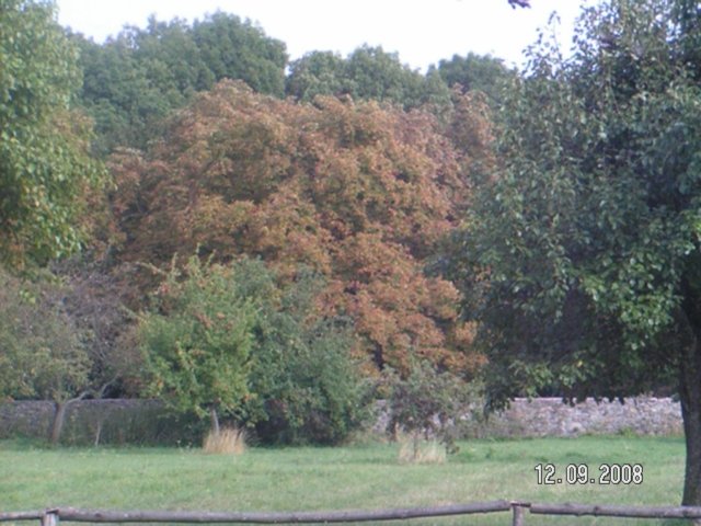 pict4555.jpg