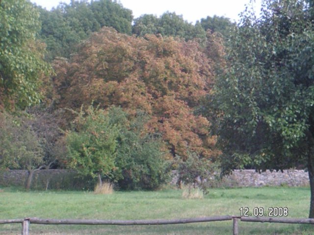pict4556.jpg