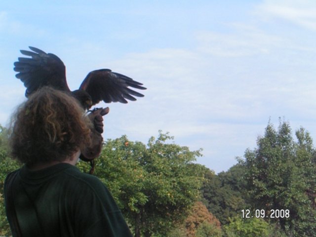 pict4574.jpg