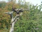 pict4581_small.jpg