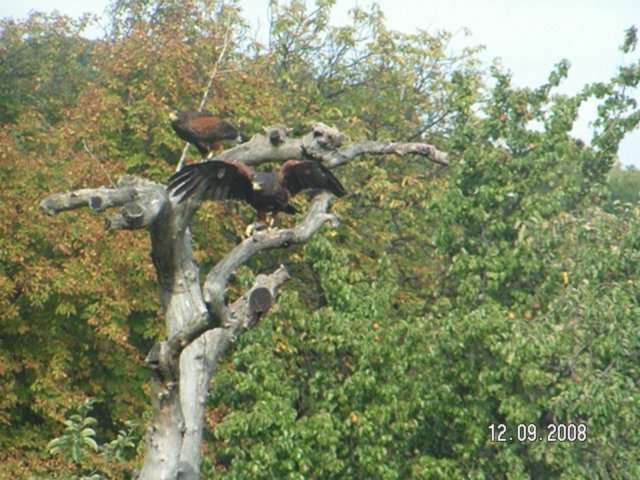 pict4582.jpg