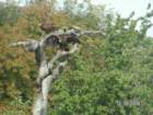 pict4583_small.jpg